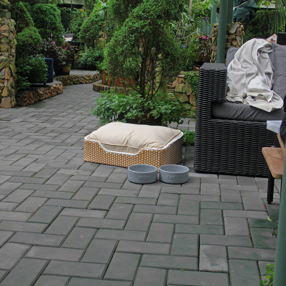 Hand-Woven Wicker Cat Bed with Removable Cushion – Powder-Coated Steel Frame Pet Sofa - Image 9