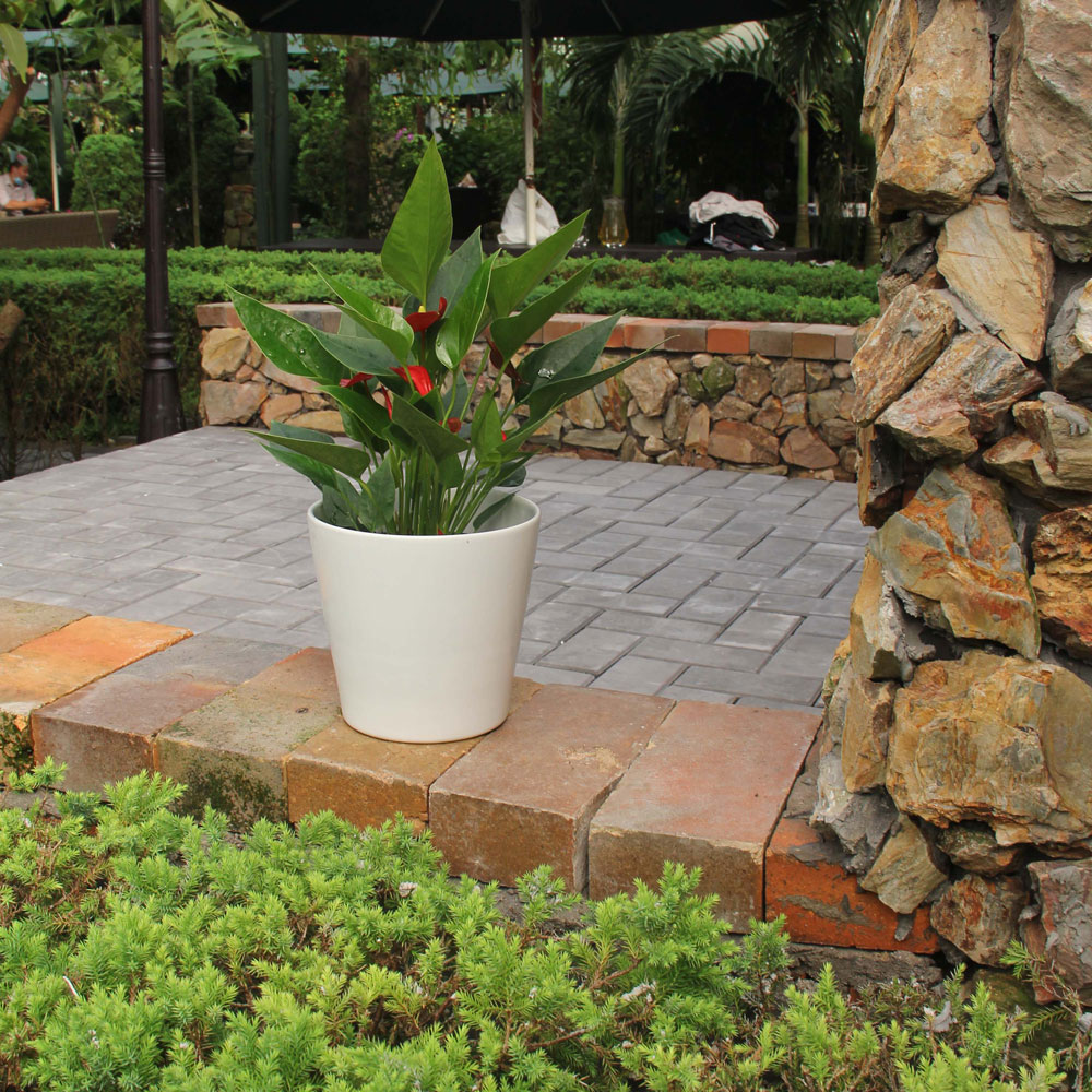 Indoor Planters Without Drainage Holes – Minimalist Decorative White Plant Pots for Home Décor (Set of 2)