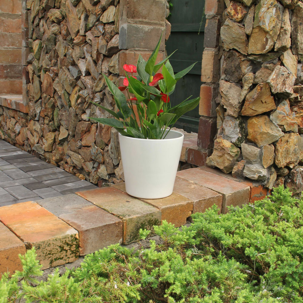 Indoor Planters Without Drainage Holes – Minimalist Decorative White Plant Pots for Home Décor (Set of 2) - Image 3