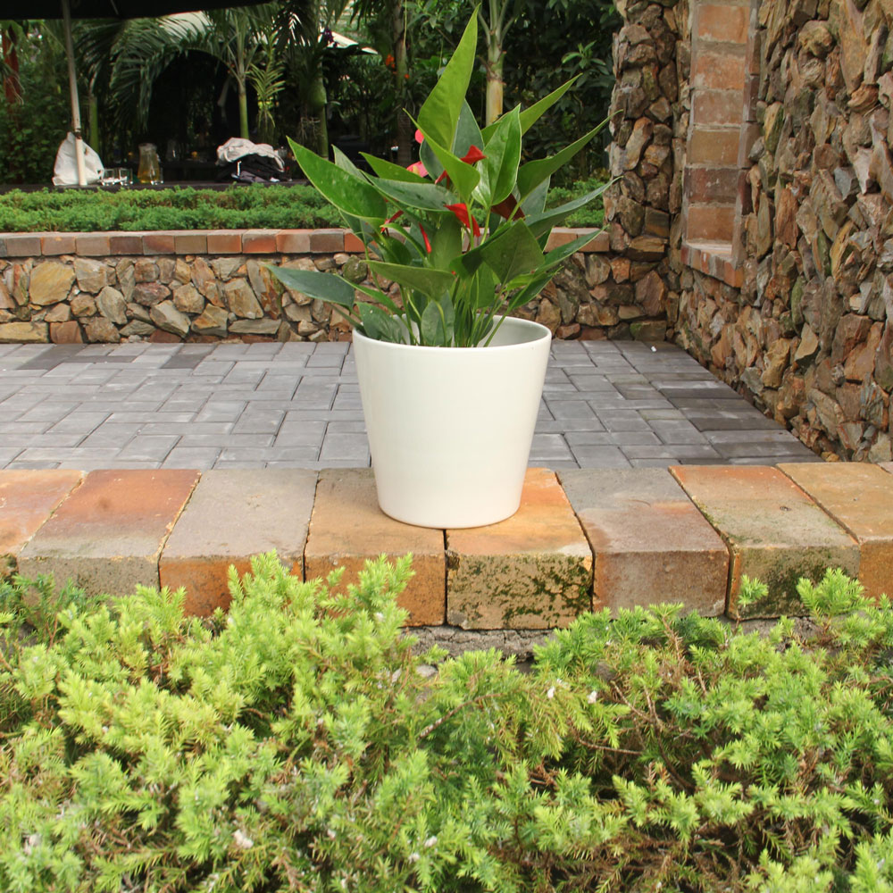 Indoor Planters Without Drainage Holes – Minimalist Decorative White Plant Pots for Home Décor (Set of 2) - Image 2