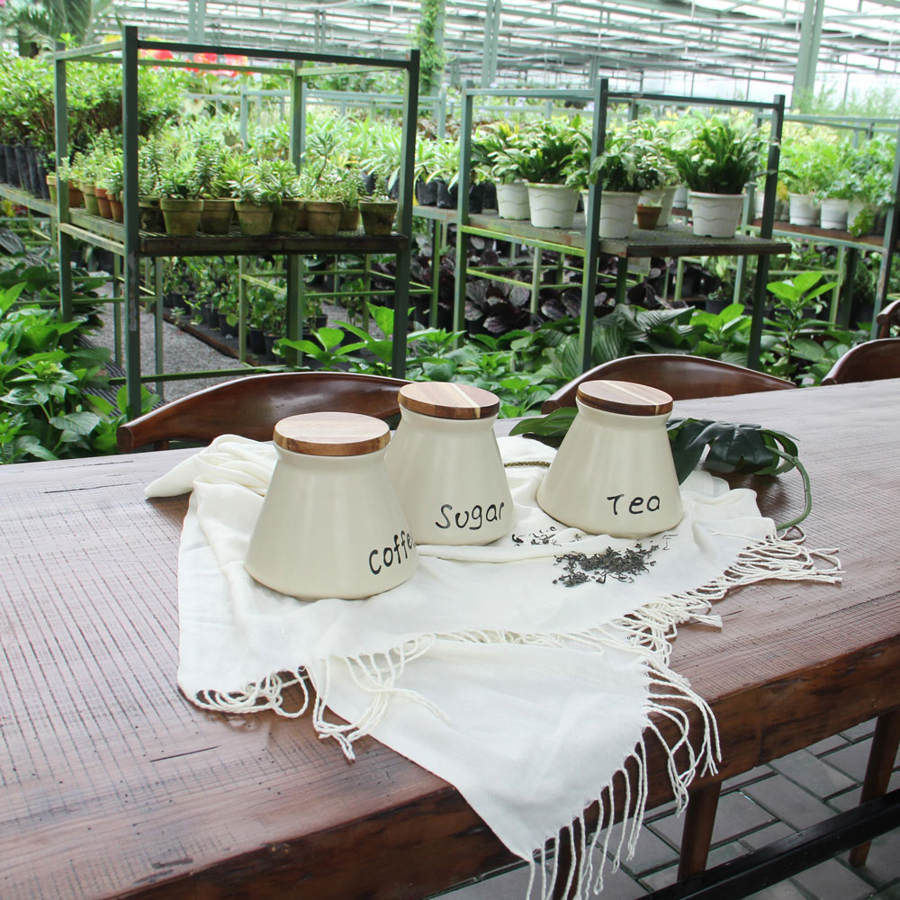 Stoneware Kitchen Canister Set with Acacia Lids – Sugar, Tea & Coffee White Storage Jars (Set of 3) - Image 5