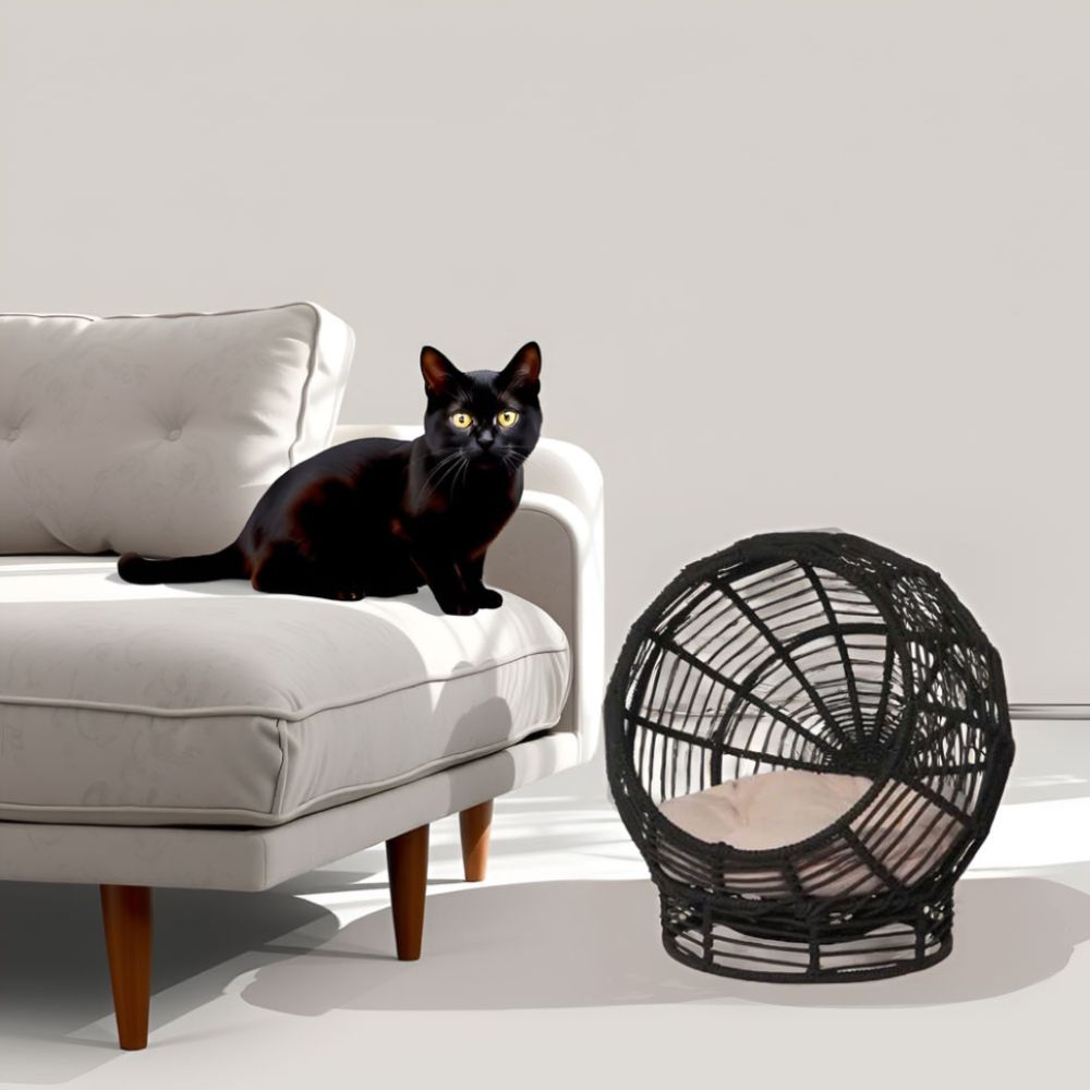 Modern Woven Rope Cat Bed with Removable Cushion – Stylish Indoor Pet Lounge
